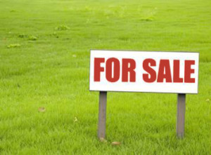 Market Is Ripe for Selling Land